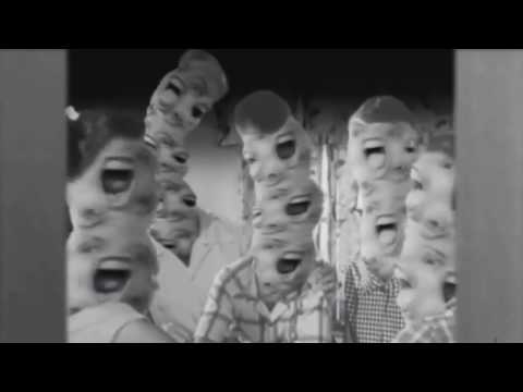 ENTUPUTAFACE x Dreco Mania - Números