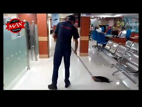 Regular Cleaning Service