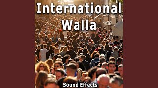 Sound Ideas - Amsterdam, Netherlands: Medium Pub Crowd With Heavy Walla video