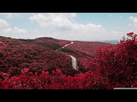 Nikolauss - Magnitude [GO Music]