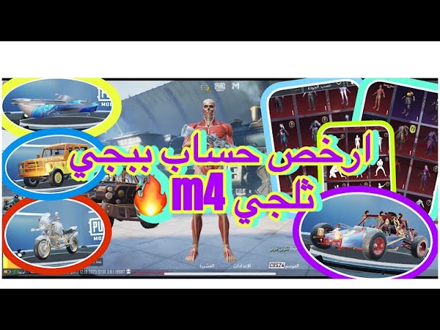 حساب ببجي عالمية ،M4 الثلجي l.v5