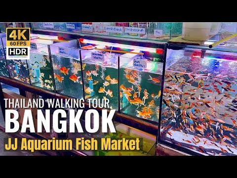 [BANGKOK] Chatuchak Aquarium Fish Market "Aquarium Lovers Must Visit!" | Thailand [4K HDR]