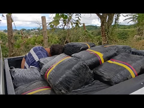 Persecución de película termina con la captura de un hombre en Sevilla Valle