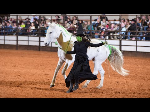 Mustang Magic Celebrity Freestyle 2024 | 'Wicked'