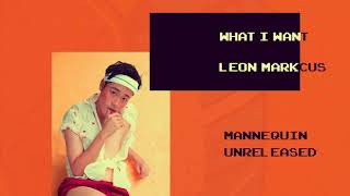 Leon Markcus - what i want (demo)