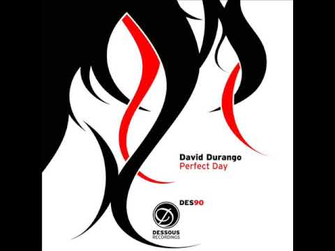 David Durango -  Perfect Day (Matthias Meyer Remix)