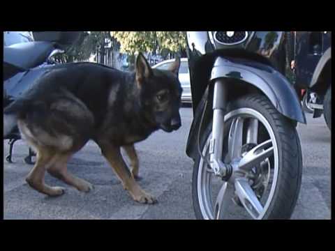 2017-02-21 FIRENZE - EVASIONE DA FILM A SOLLICCIANO_ RICERCATI TRE ROMENI