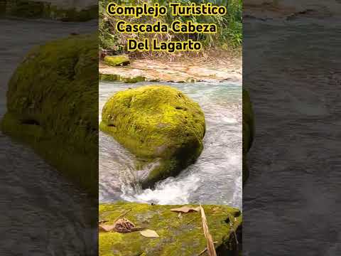 #turismo #paz #viajes #amazoniaviva te invito a conocr estamos ubicados n Sucumbios Gonzalo Pizarro