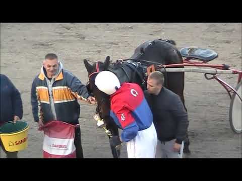 KK Bačka Subotica 08.11.2020. Trka za grla od 201-600 EUR  Vlama d o o  Subotica