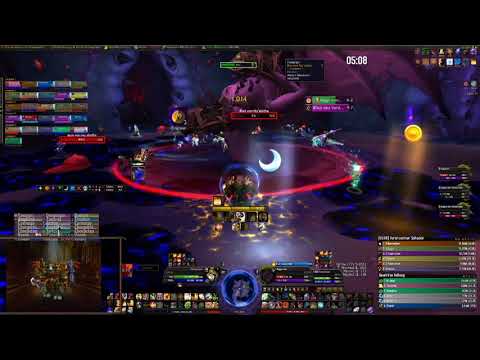 Nyalotha normal Il´gynoth Paladin Tank POV