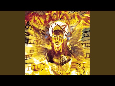 Before You Were Born - Toad the Wet Sprocket