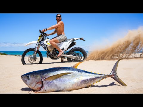 Giant Tuna (CATCH and COOK) - A Motobike Fishing Mission