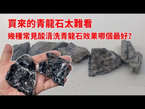 青龍石養魚