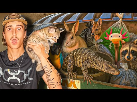 I Found 23 Live Animals In Pet Store Dumpsters