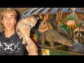 I Found 23 Live Animals In Pet Store Dumpsters
