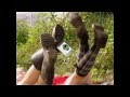 Дискотека Авария Лайкни меня 