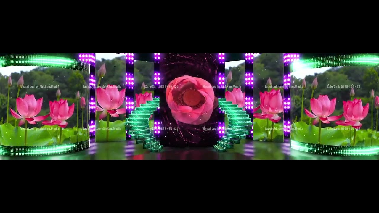 142 - Ao Sen Hồng | Sân Khấu Ảo 3D