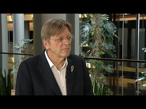 'People like Europe, they have a European dream', says MEP Guy Verhofstadt