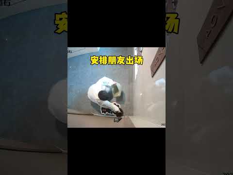 为了改掉小黑爱跑出门的毛病 找朋友陪我演出大戏~ #小奶猫的成长日记 #铲屎官的乐趣