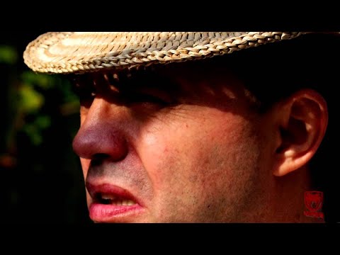 DOINA Nicolae Guta - Satule gradina mandra