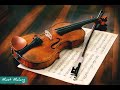 Violin Instrumental Music Status Video