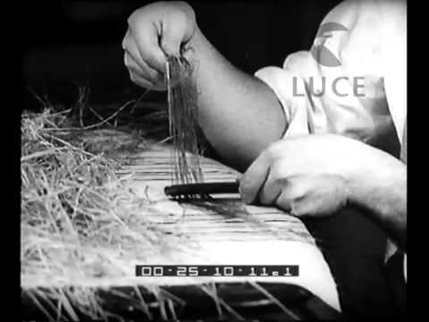 Corrughi tocopherol sotto occhi A orzo ci può essere hypostasis sotto un occhio