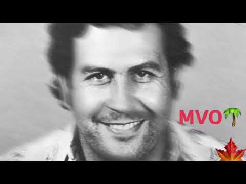 Rome Montanaa - Brick Money