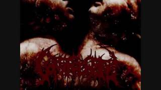 Vomit The Hate - Unseen