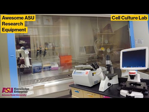 ASU Core Facilities Equipment Showcase: Cell Culture Lab