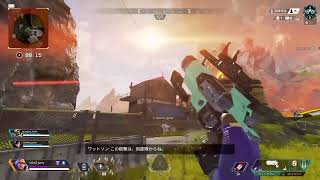 #91 鶏3,猫3 apex legends