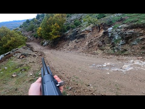 TAVŞAN AVİ 2 HD - Κυνηγι Λαγου στην Ροδοπη - Hare hunting in Greece 2021-2022