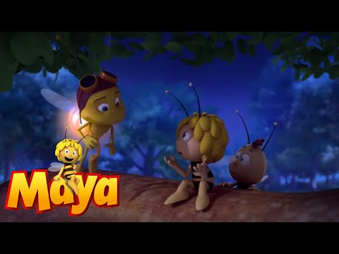 Night blooms  - Maya the Bee - Episode 4