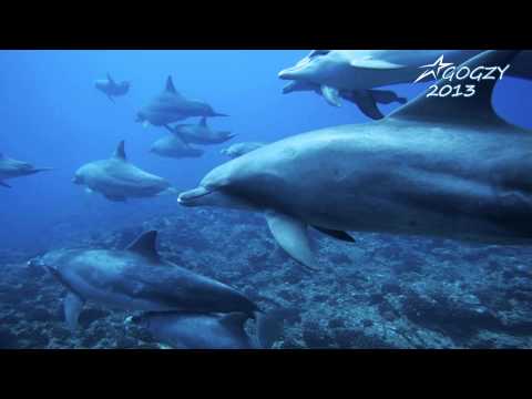 Gogzy Progressive House - May 2013 Promo Mix HD