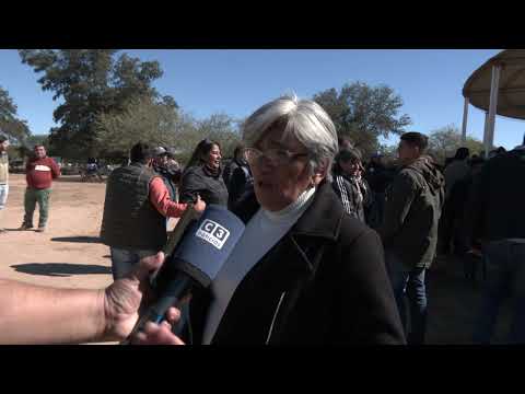 PRODUCTORES VALORAN REMATES GANADEROS PAIPPEROS