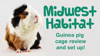 How to set up a MIDWEST GUINEA PIG HABITAT CAGE Step by Step & Review & Tour & Accessories
