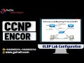 CCNP ENCOR GLBP Lab Configuration And It S Verification