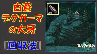 【ゼルダの伝説ティアキン】「白蒼デグガーマの大牙」の回収法！白蒼デグガーマとの戦い方も解説します！