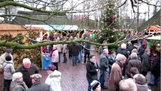 preview picture of video 'Neuenburg, Weihnachtsmarkt 2012'