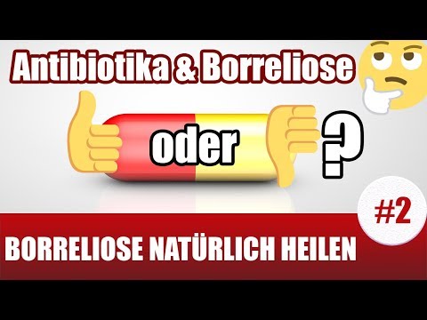 Lyme disease - Is antibiotic therapy useful or not? (Lyme disease treatment naturally #2)