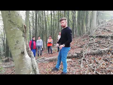 ORMANDA DAMGA NASIL YAPILIR.