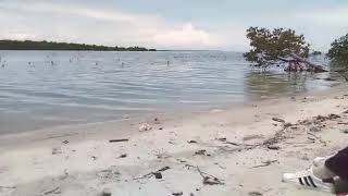 Download lagu Pengkhianatan Musikalisasi puisi mp3 Download lagu Pengkhianatan Musikalisasi puisi mp3