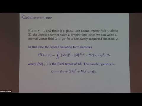 Stability Theory for Minimal Submanifolds