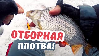 Ловля рыбы на гвоздекубик зимой