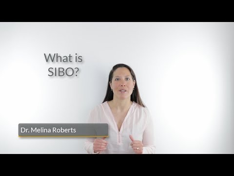 What is SIBO?