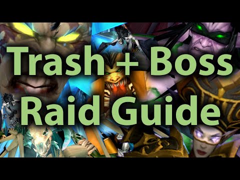 Complete Tier 6 Raid Guide