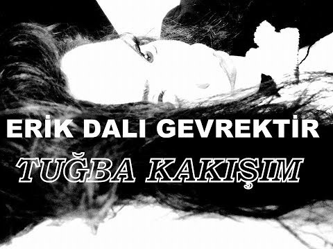 ERİK DALI GEVREKTİR_TUĞBA KAKIŞIM (Oynama garantili)