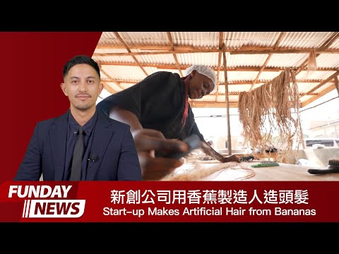 FUNDAY News 英語新聞 2024.07.05 | 新創公司利用香蕉製造人造頭髮 (FUNDAY News 英語新聞 2024.07.05 | Start-up Makes Artificial Hair from Bananas)