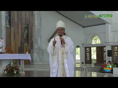 HOMILY | 5th Sunday of Easter