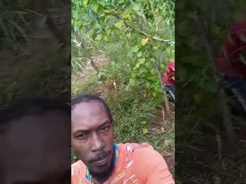 Blessings to the creator