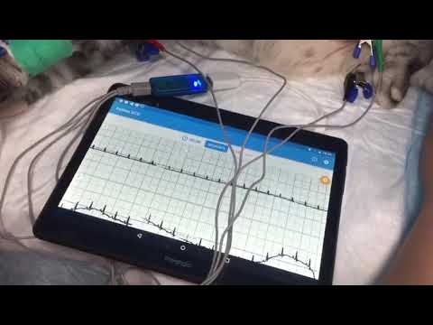 PetNet ECG